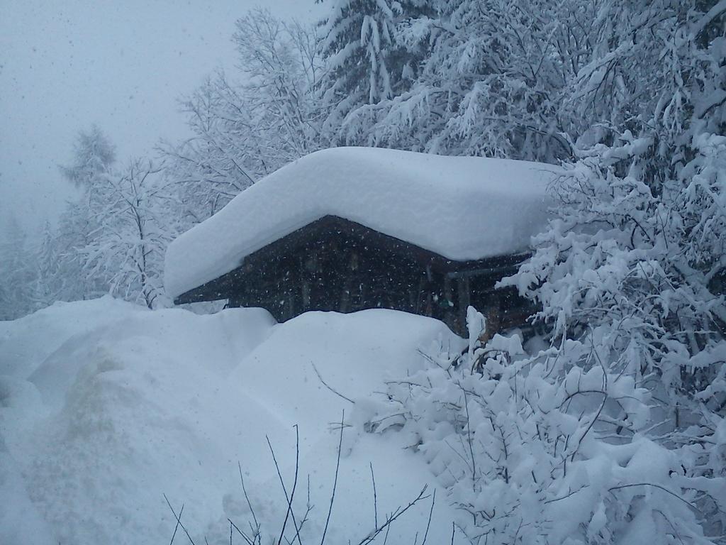 Apartamento Waldhaus Sankt Martin am Tennengebirge Exterior foto