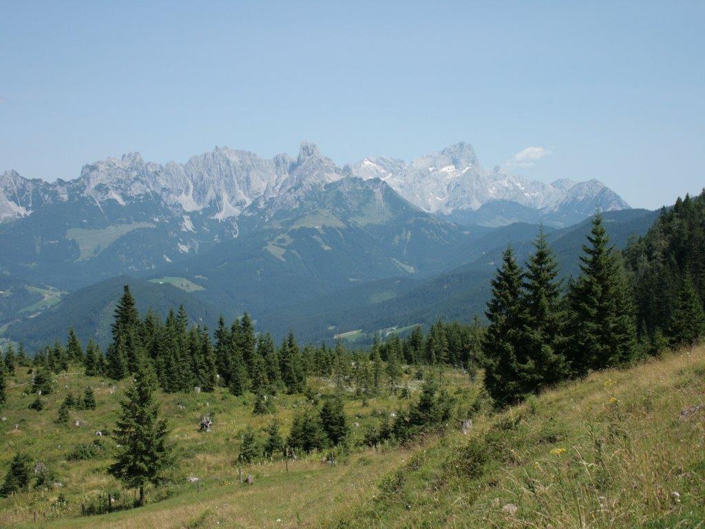 Apartamento Waldhaus Sankt Martin am Tennengebirge Exterior foto