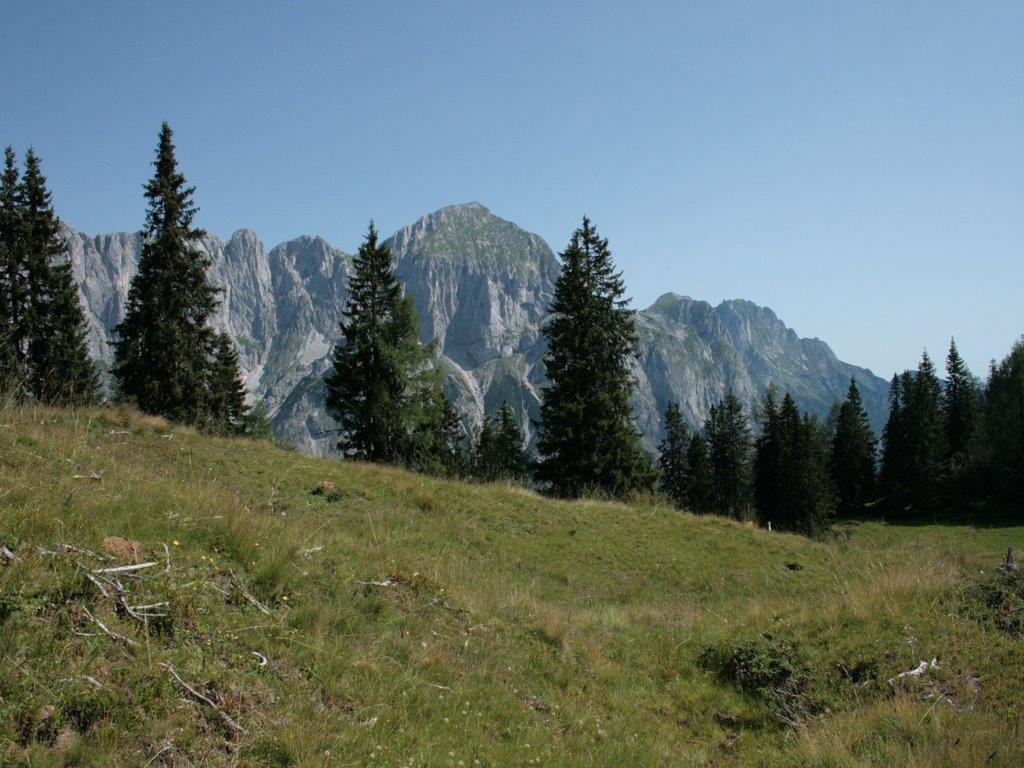 Apartamento Waldhaus Sankt Martin am Tennengebirge Exterior foto